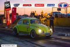 MG_8875-2